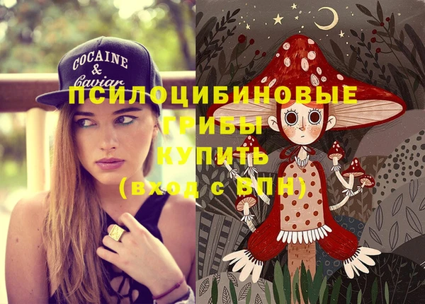 гидропоника Струнино